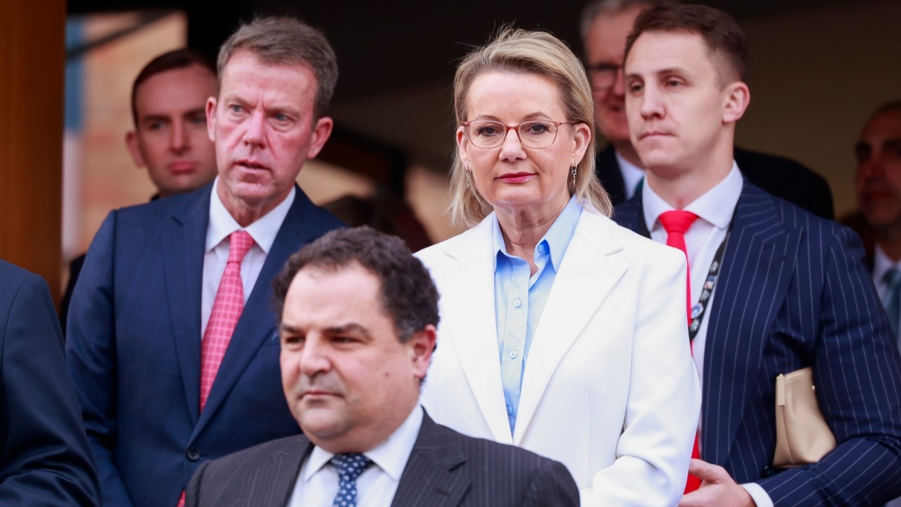 ‘Alarming move': Liberal frontbenchers condemn Albanese government decision to sign letter calling for immediate end to Gaza conflict