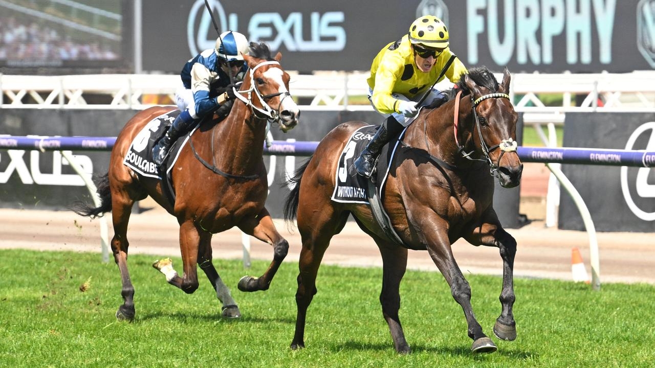Racing Victoria finalises Spring Carnival vet rules for international competitors