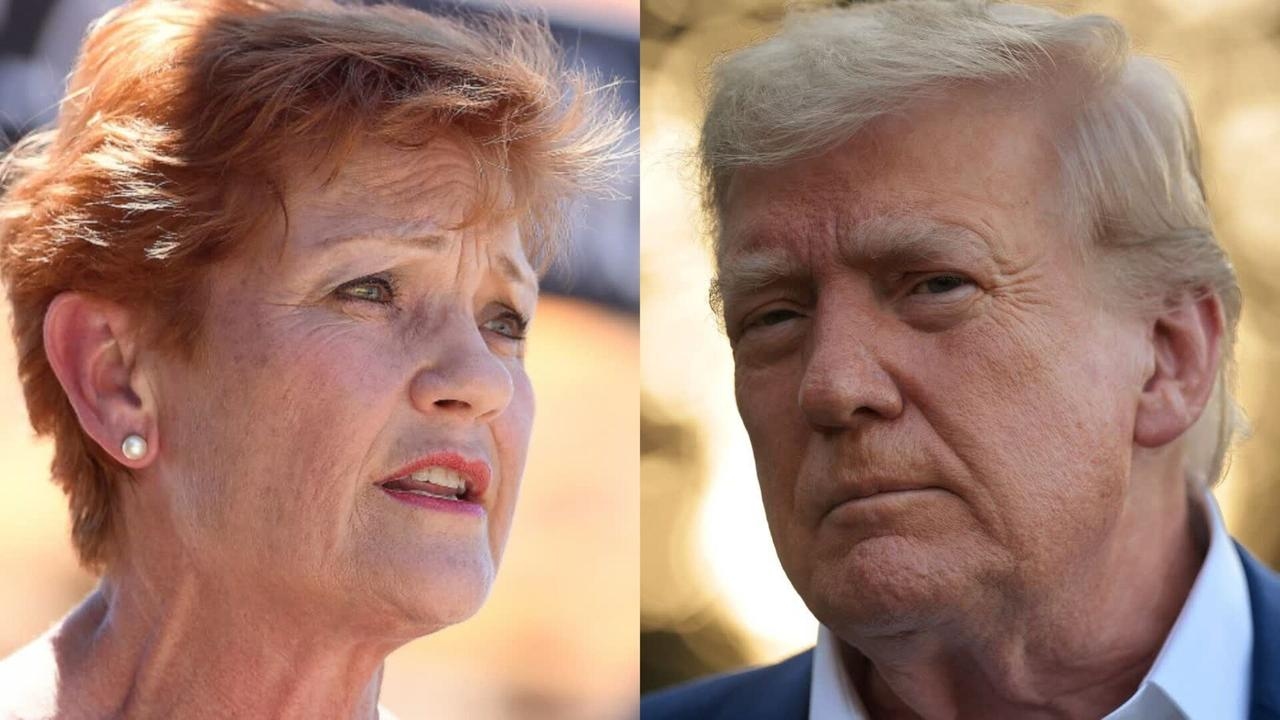 ‘Hell of a cost': Pauline Hanson on Donald Trump's new 200 per cent tariff threat