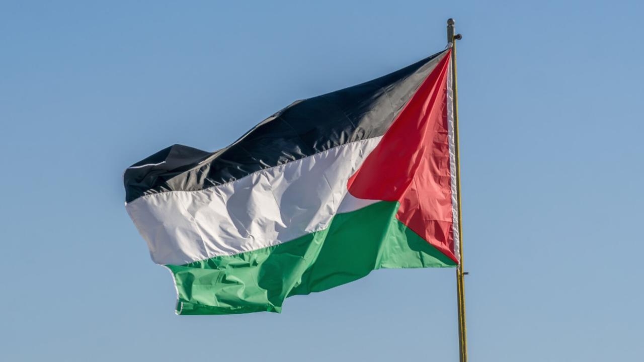 Labor recognising Palestinian statehood would ‘reward terrorism'