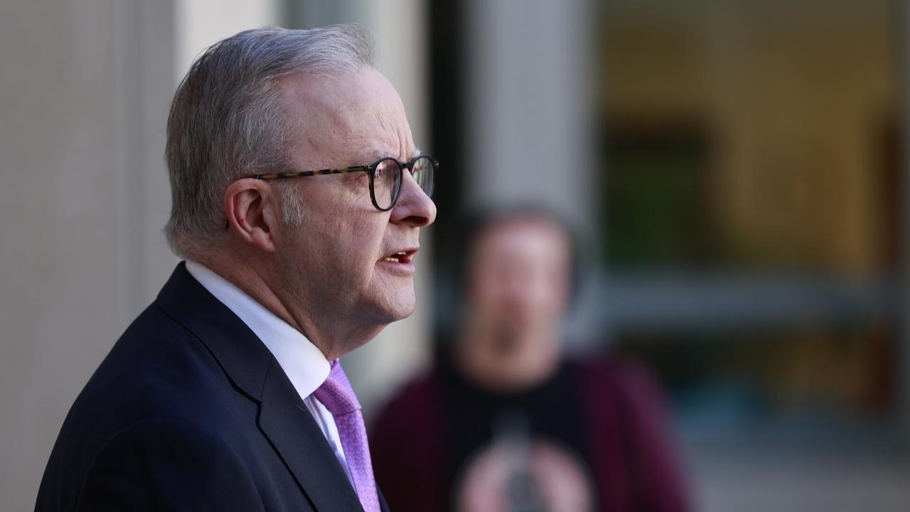 Albanese has ‘lost the plot' for recognising Palestine