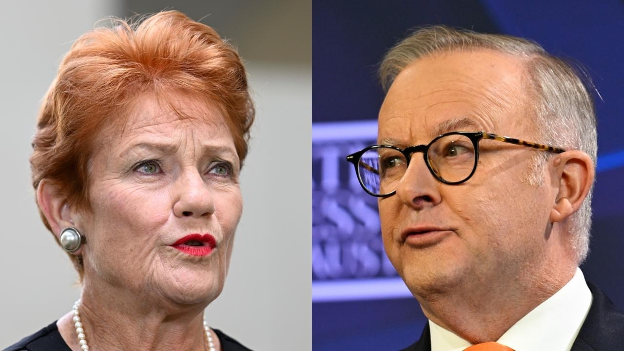 ‘An absolute joke': Pauline Hanson roasts Anthony Albanese for round table policy talks