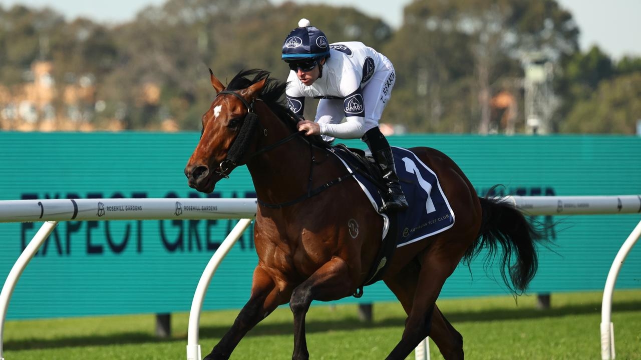 Peter Snowden unearths spring contender with Raging Force bringing up hat-trick at Rosehill