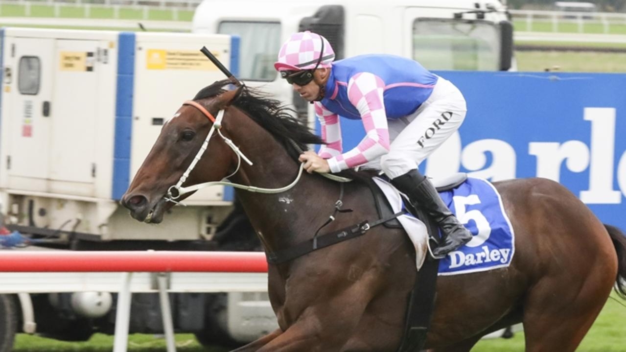 Kris Lees leaning towards Lord Mayor's Cup at Eagle Farm for Tavi Time