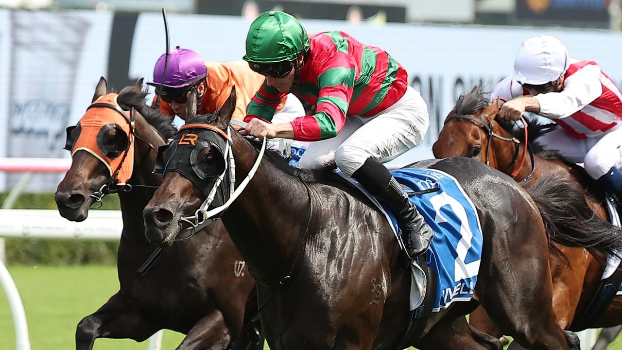 Kris Lees eyes San Domenico Stakes return with exciting colt Rivellino