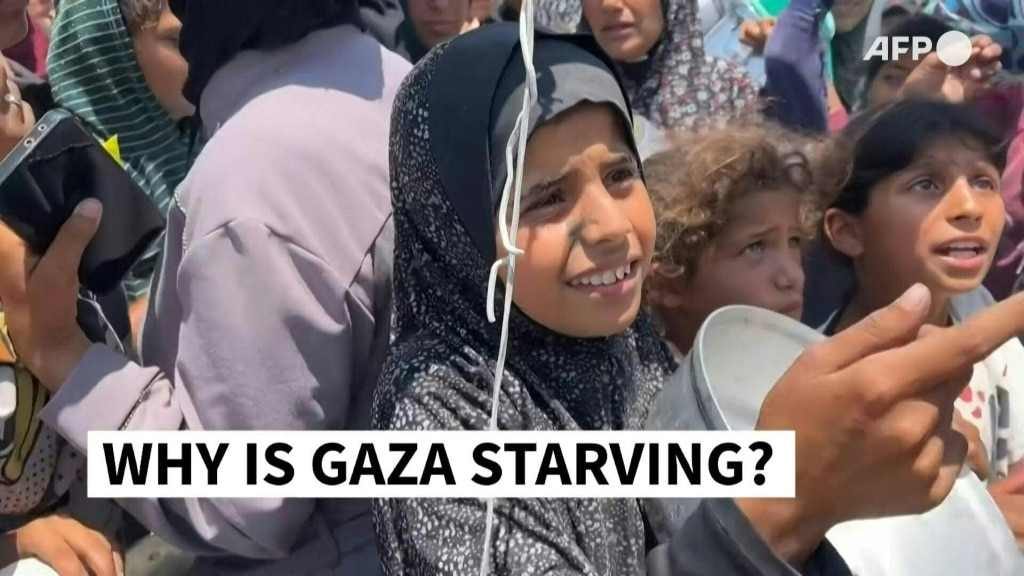 Trump envoy to visit Gaza as pressure mounts on Israel