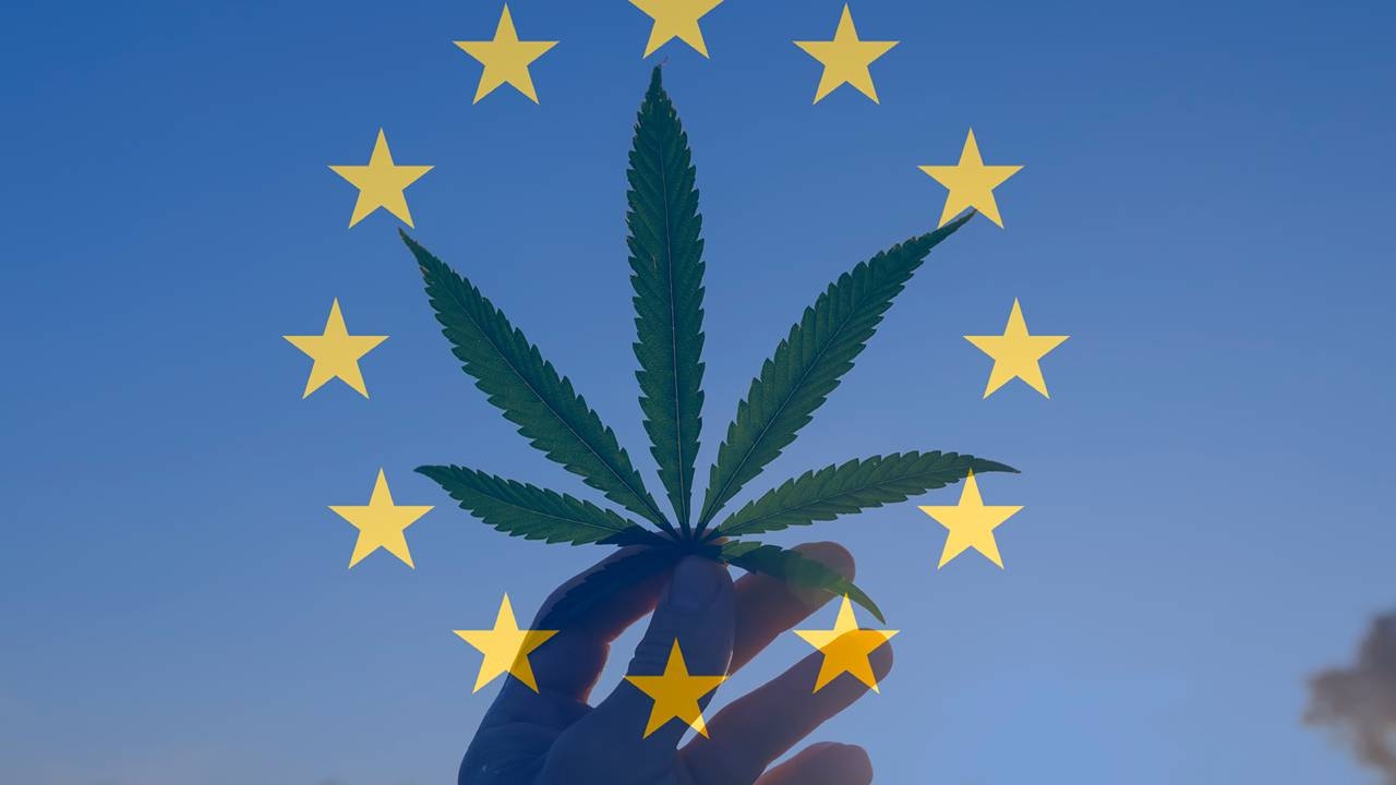 Health Check: Little Green Pharma's European success is more than pot luck