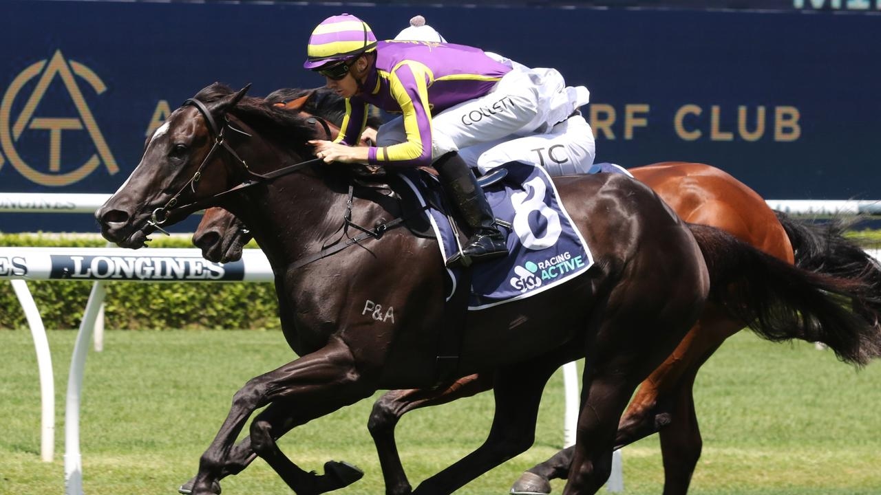 Warwick Farm preview: Mabel chasing one last hurrah
