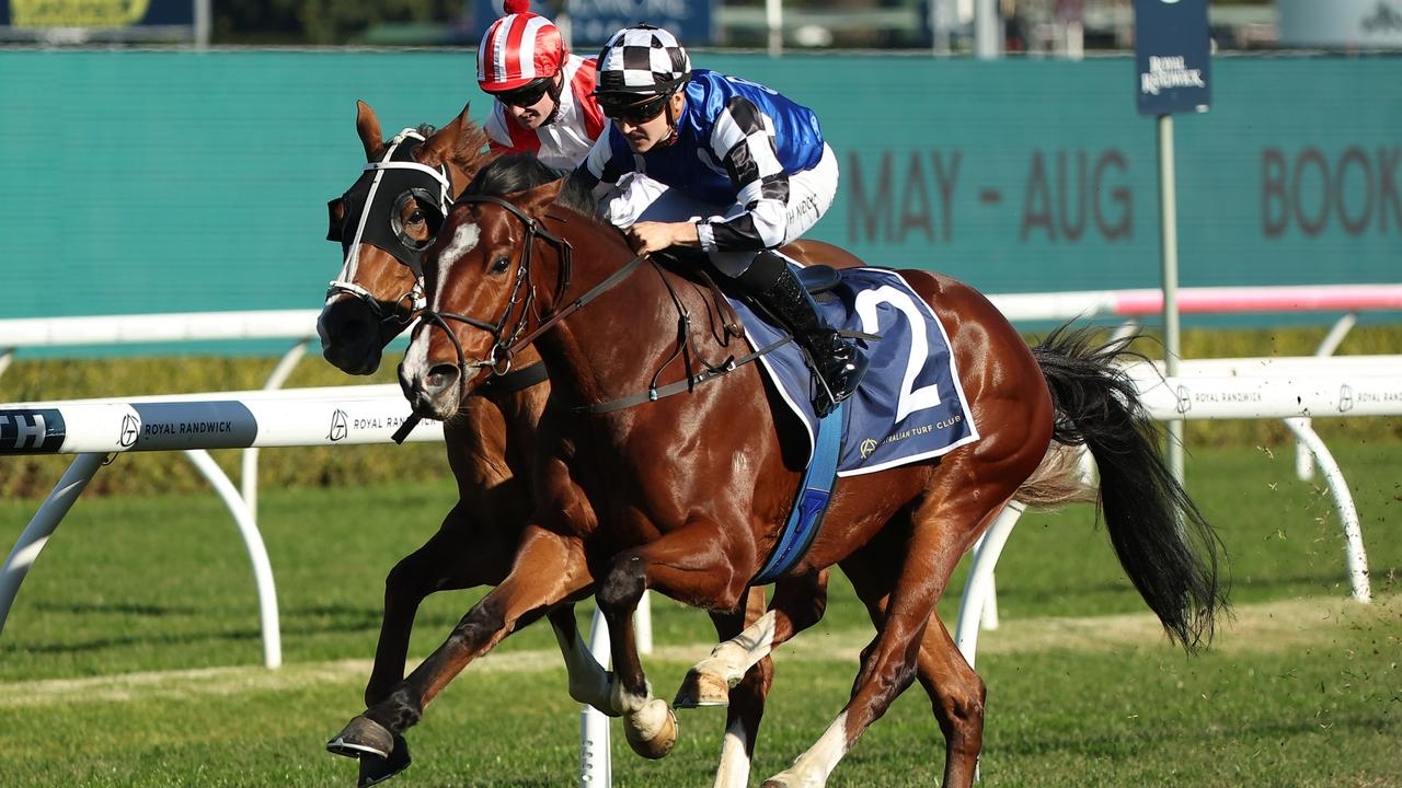 Imported gelding Royal Supremacy announces himself a Spring Carnival contender with breakthrough Randwick win