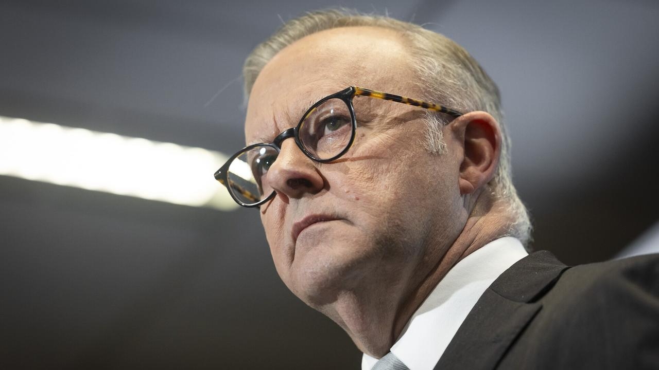 ‘He has not been there as a friend': Albanese put on blast for not ‘backing' Israel since Oct 7