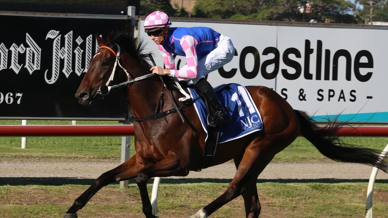 Scone preview: Time for Lees' gelding to stand up and be counted