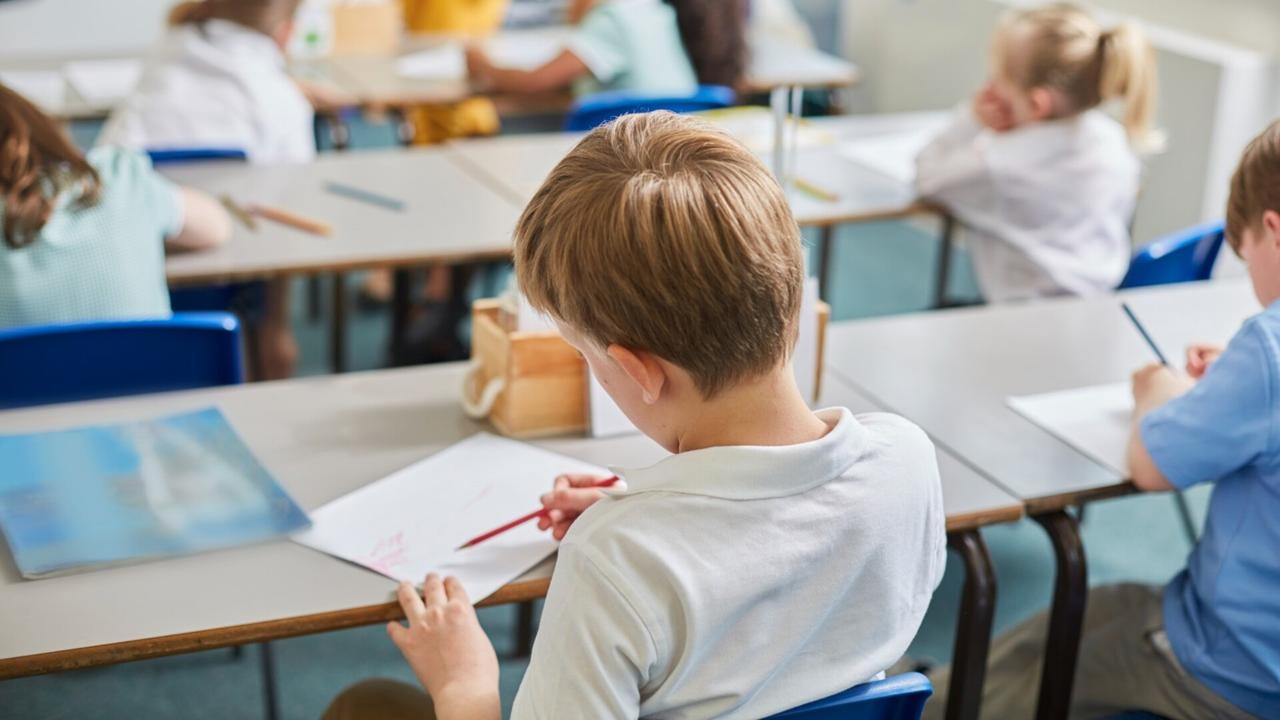 ‘Gender bending nonsense': Victorian parents should be ‘outraged' over school curriculum changes