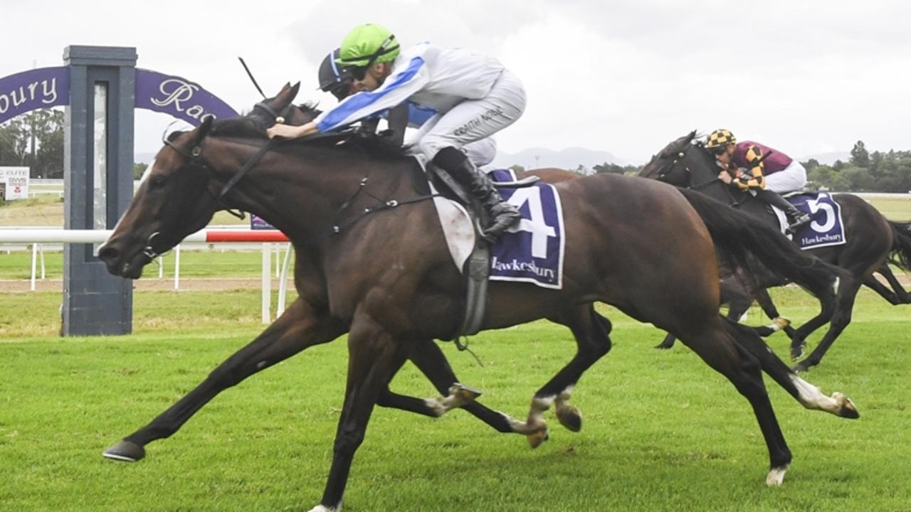 Warwick Farm preview: Trainer John Thompson expects Hellbent On You to keep her consistent form going