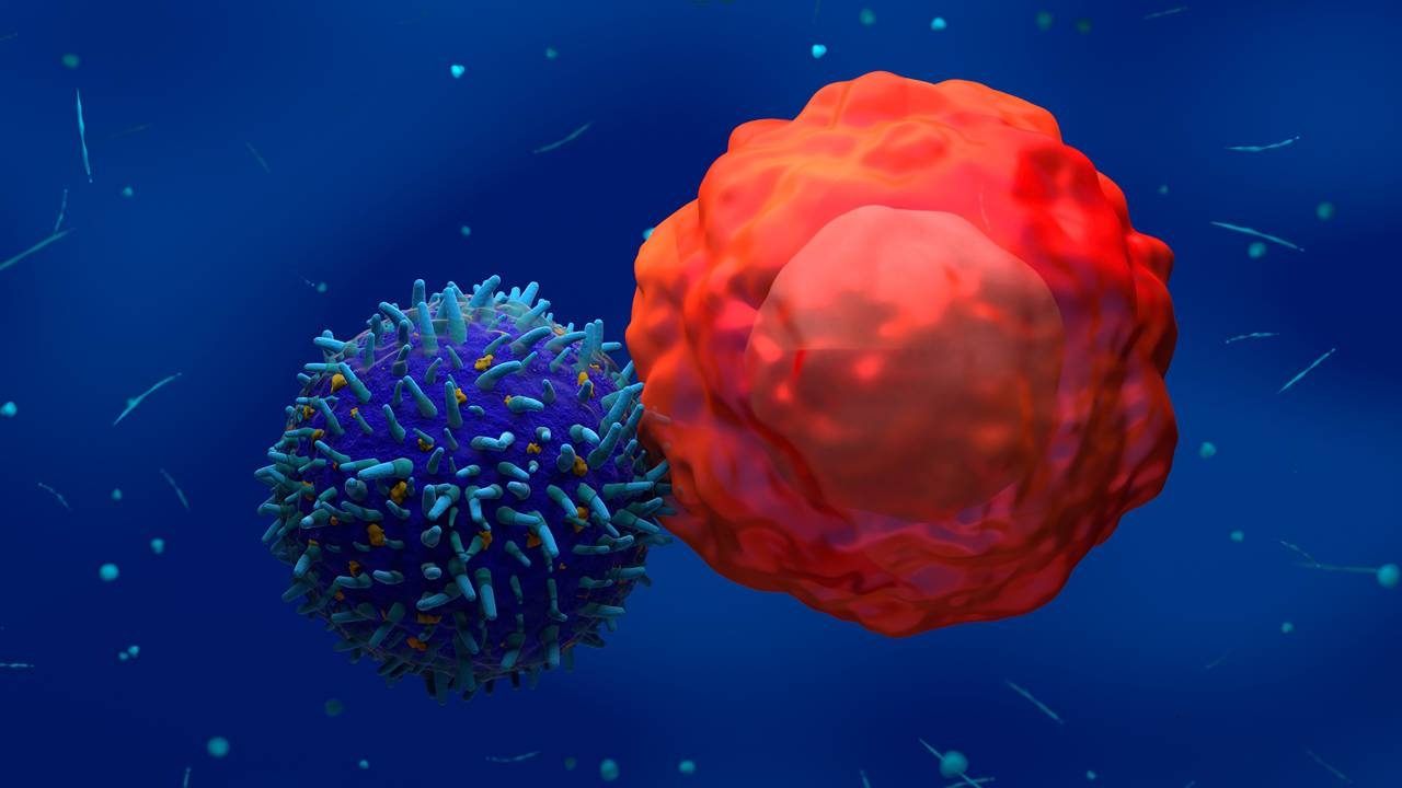 ASX biotechs join global race for cell therapy breakthroughs
