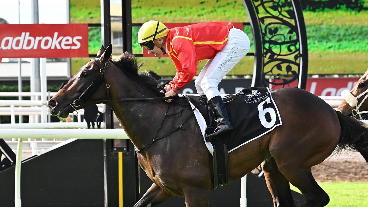 Tony Gollan galloper Transatlantic set to have Stradbroke Handicap hopes dashed by Queensland prizemoney rule