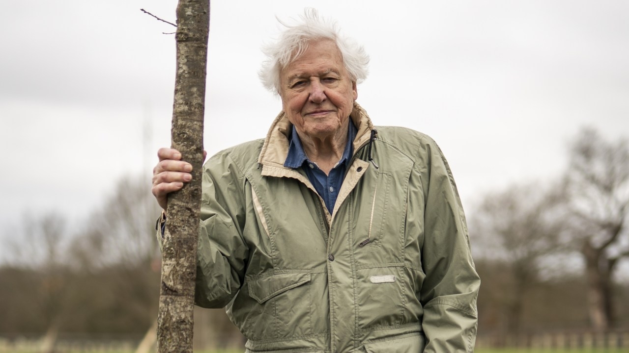 Sir David Attenborough's longtime friend Sir Michael Palin urges him to 'give up and retire' as broadcast legend turns 99