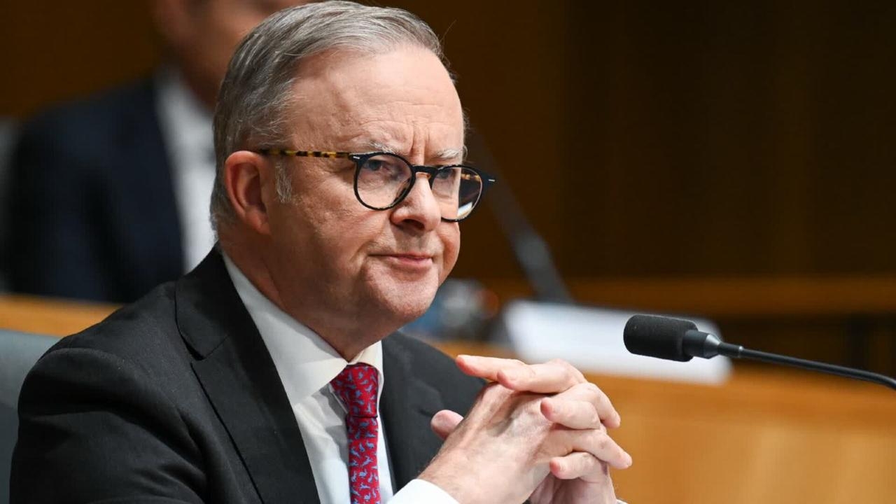 Albanese government refuses to stamp out ‘vile hatred' against Israel in Australia