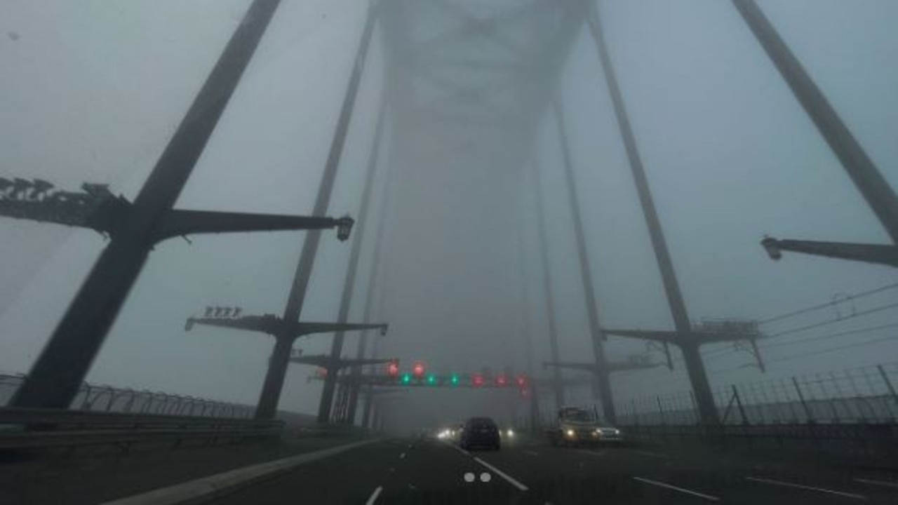 Ferries cancelled, flights affected as thick blanket of fog descends over Sydney