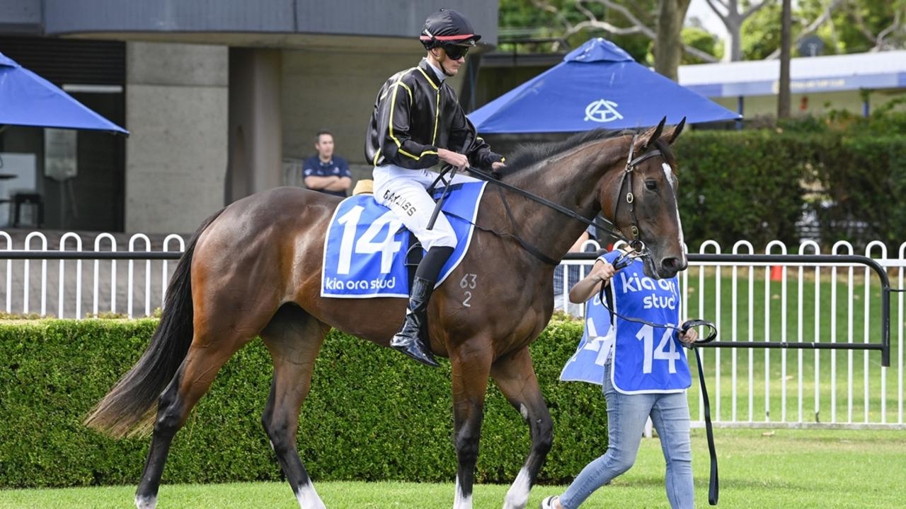 Ray Thomas's tips, inside mail for Rosehill on Saturday June 14