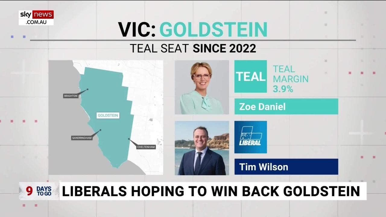 Liberals hoping to win back Victorian seat of Goldstein