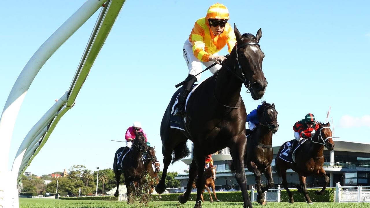 ‘It was a very easy watch': Agarwood dominates juvenile opener at Royal Randwick