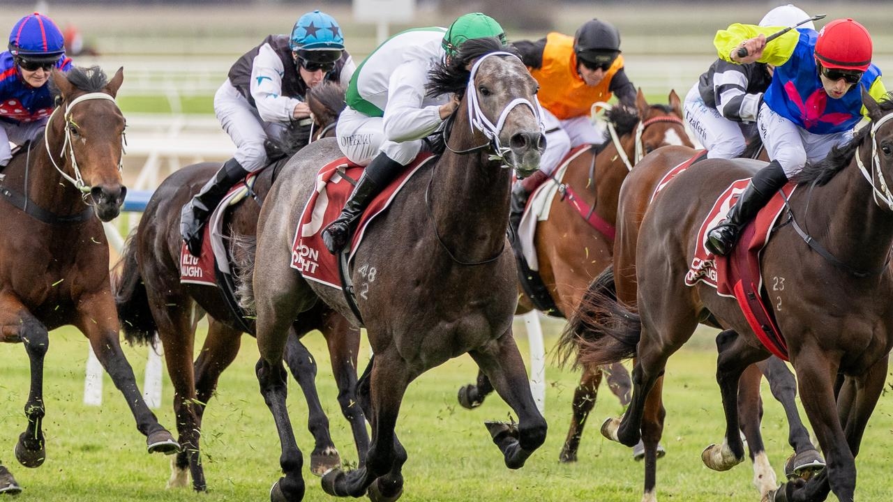 Matahga aiming to replicate success of Derby winners in Oaklands Plate at Morphettville Parks