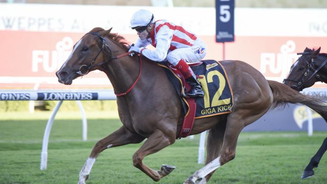 Clayton Douglas has Giga Kick primed for breakthrough win in Group 1 Kingsford Smith Cup