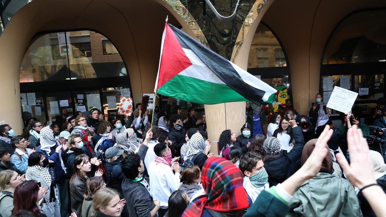 ‘Outraged, not surprised': Pro-Palestine student protesters face expulsion and suspension
