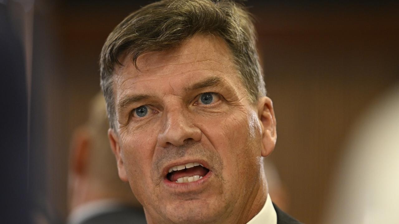 ‘Too little too late': Angus Taylor on his tax policy versus Labor's
