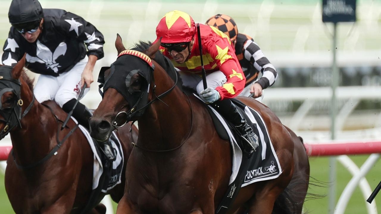 Sara Ryan has Group 1 plans if Matcha Latte can continue winning streak in Hawkesbury Gold Cup
