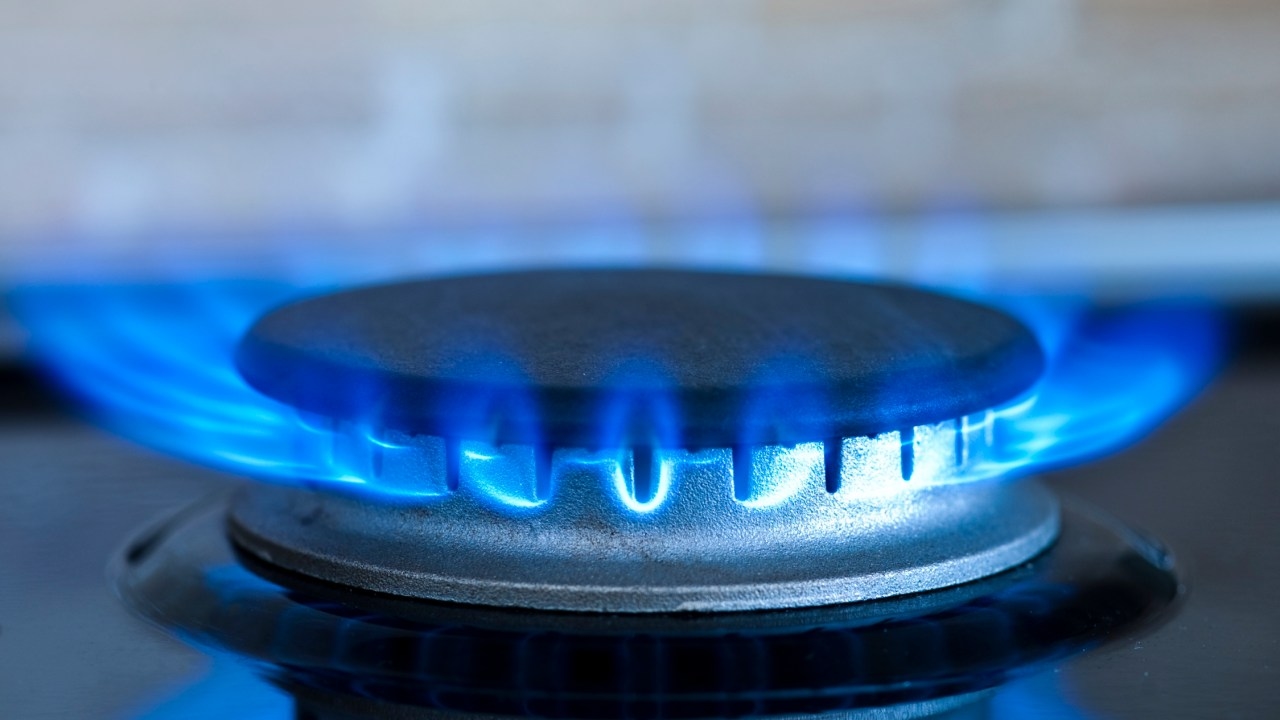 'We can't just flick a switch': Australian Restaurant and Cafe Association CEO slams Victoria's gas ban on new buildings and warns of mass closures
