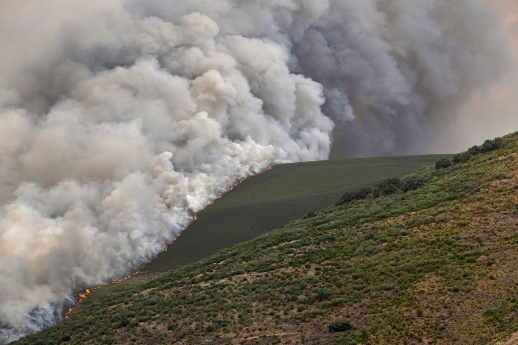 Spain and Portugal battle wildfires as death toll mounts