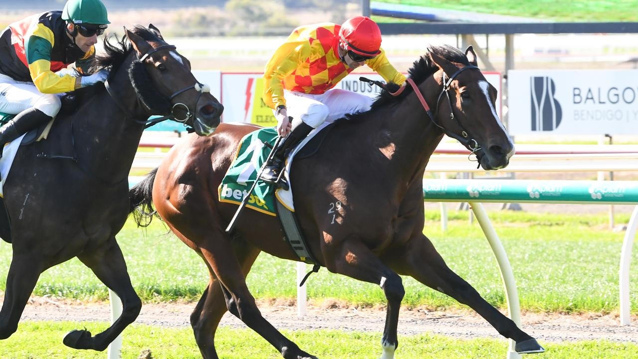 Second edition of Forest Jim seeks blowout win in city debut at Flemington on Saturday