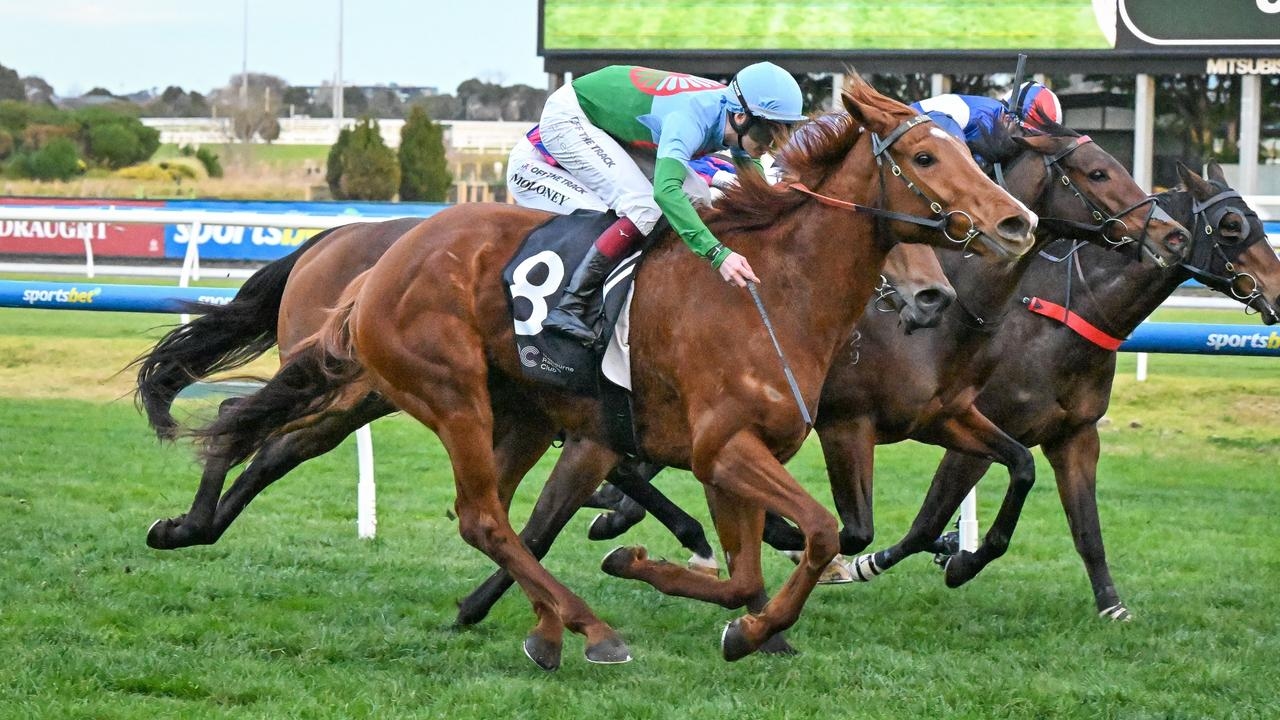 Smart mare Yellow Sam changes ownership for $305k before Group 2 PB Lawrence Stakes at Caulfield