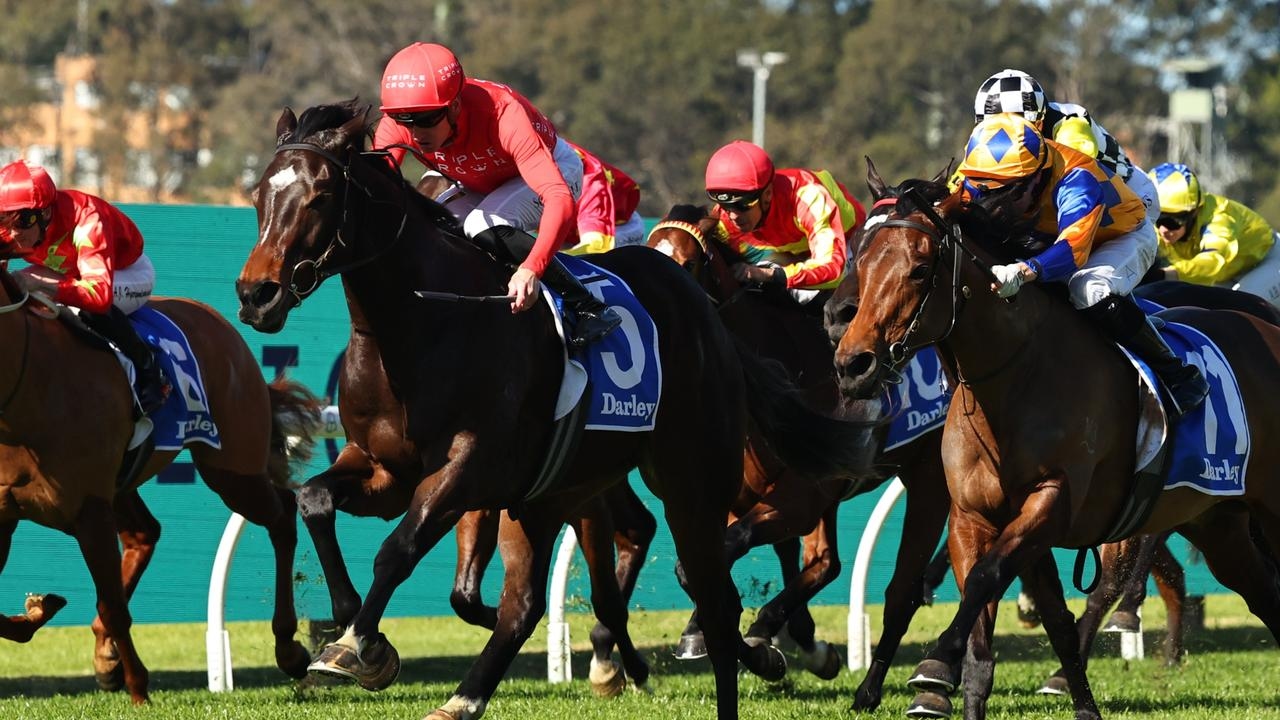 Without Peer lived up to his name with spectacular debut victory at Rosehill Gardens