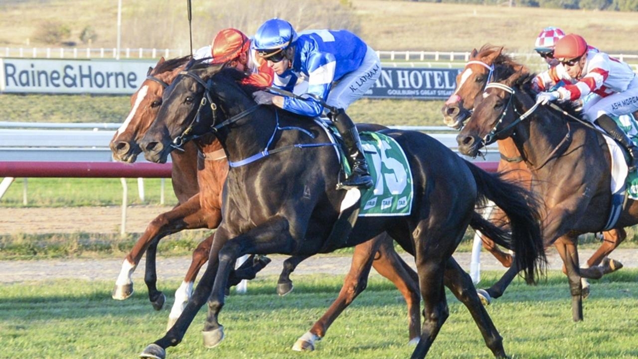 Newcastle preview: A confident Empress Of Japan is ready to rule