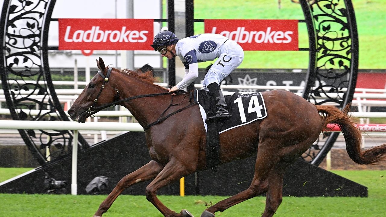 Brisbane Cup on cards for Kiwi import Campaldino after third straight win at Eagle Farm