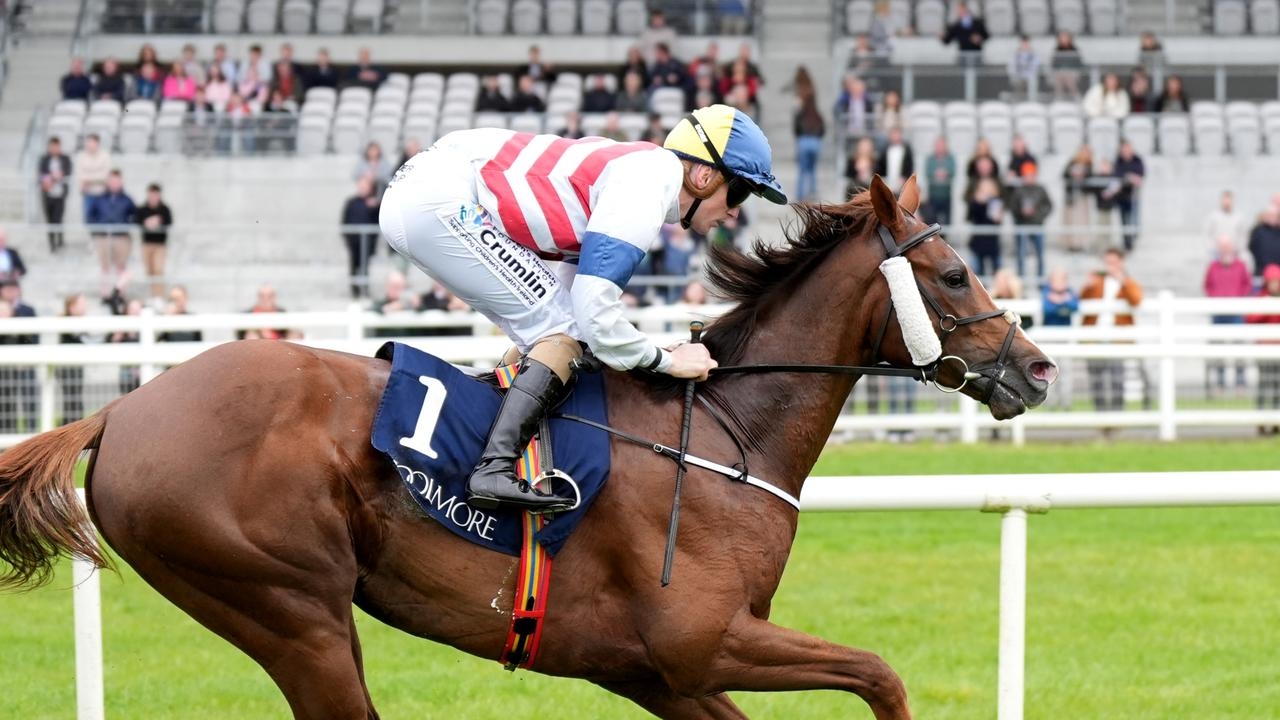 Well-credentialed import Bright Stripes to make Australian debut in Benchmark 84 at Sandown