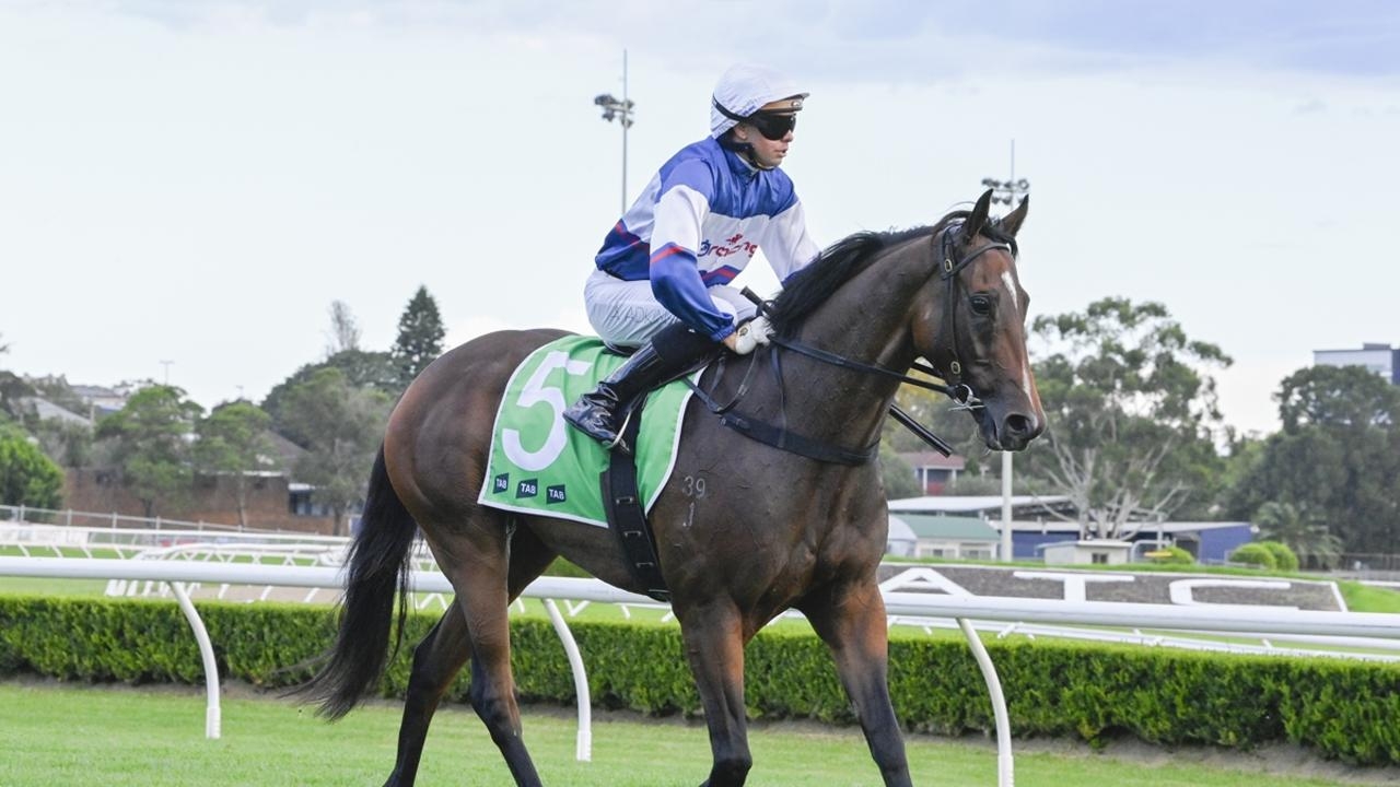 Maison Louis gives John O'Shea a Queensland Derby win