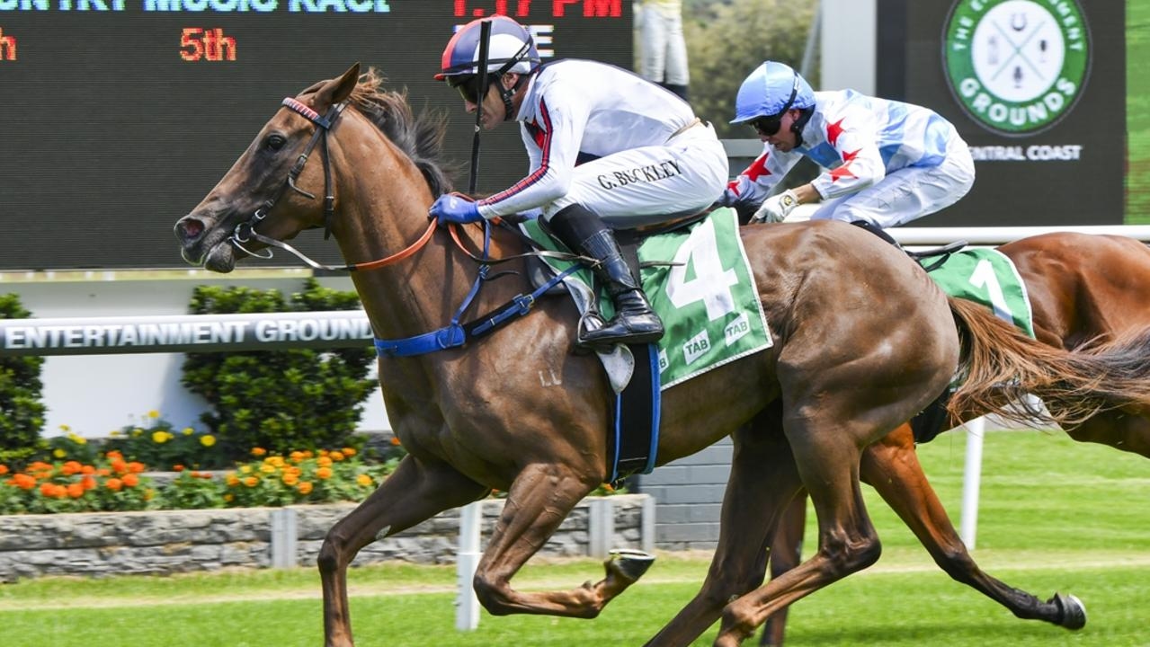 Gosford preview: Sneaky Choice aims for repeat victory