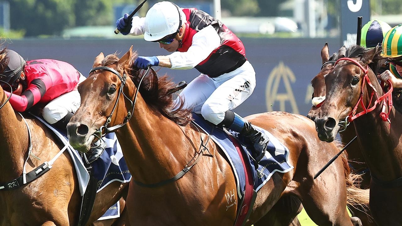 Randwick Inside Mail: Gerald Ryan-trained Grebeni poised for breakthrough in 2025 Civic Stakes