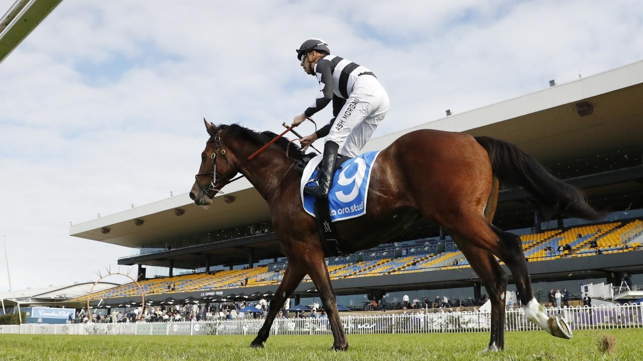 Jockey Ashley Morgan to ride Bjorn Baker-trained Puntin