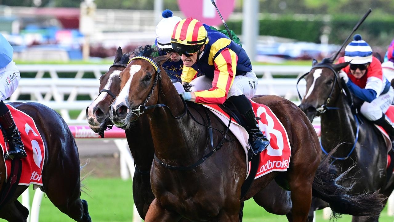 Gold Coast trainer Toby Edmonds is chasing Group 2 glory on his home track with Spicy Martini