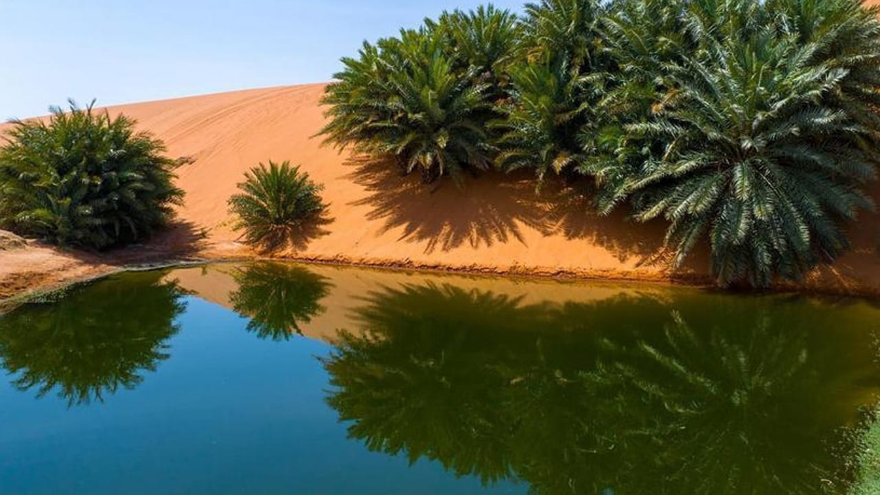 اليونسكو تدرج شمال الرياض وسلمى ضمن شبكة الجيوبارك العالمية