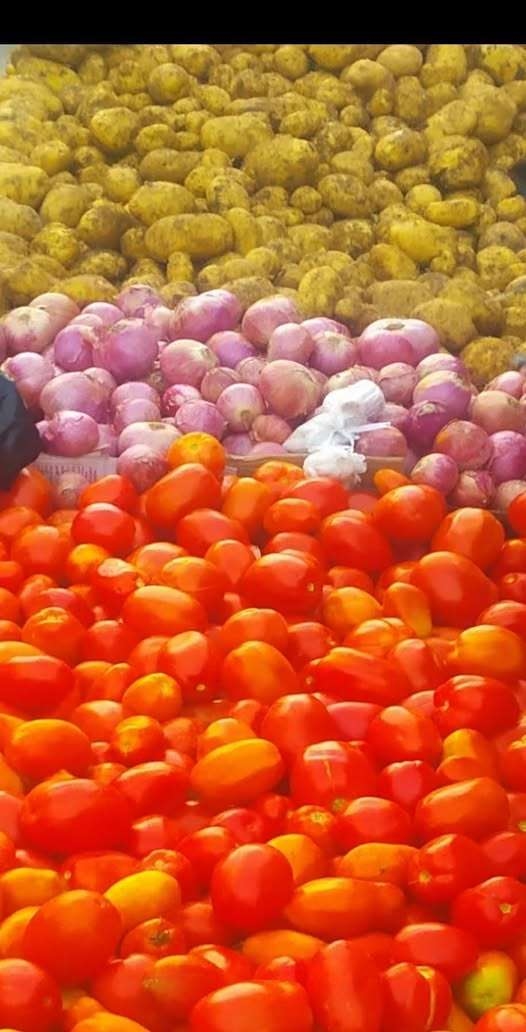 أسعار الخضار ظهر اليوم في عدن
