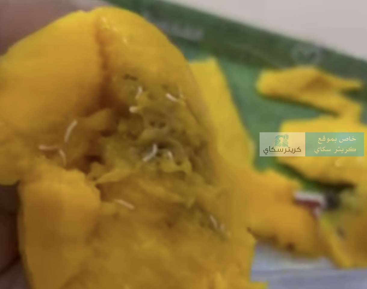 الديدان تغزو اهم الفواكه في عدن(صورة)