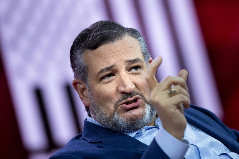 Ted Cruz Insists Democrats 'Ought To Be Saying Thank You' to Musk as Billionaire Steps Down From Trump Team