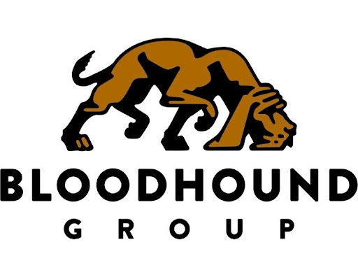 The Bloodhound Group Is Breaking The Cycle Of Ineffective Marketing Spending Through Its Partnership With Promosapiens