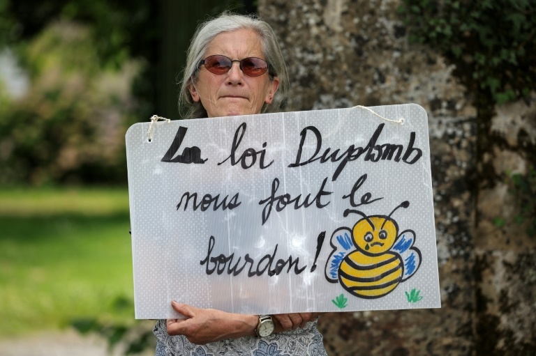 A Million People Sign French Petition Against Bringing Back Bee-killing Pesticide