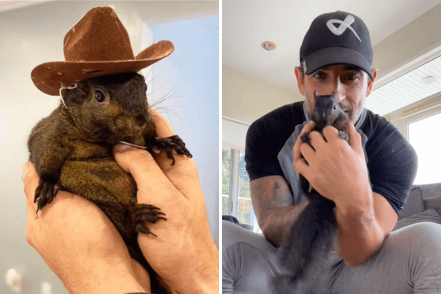 Peanut the Squirrel's Owners Seek $10M Over Death of 'Irreplaceable' Animal